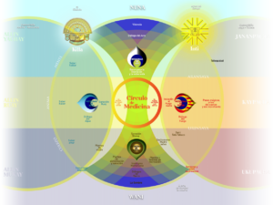 mapa del circulo de medicina